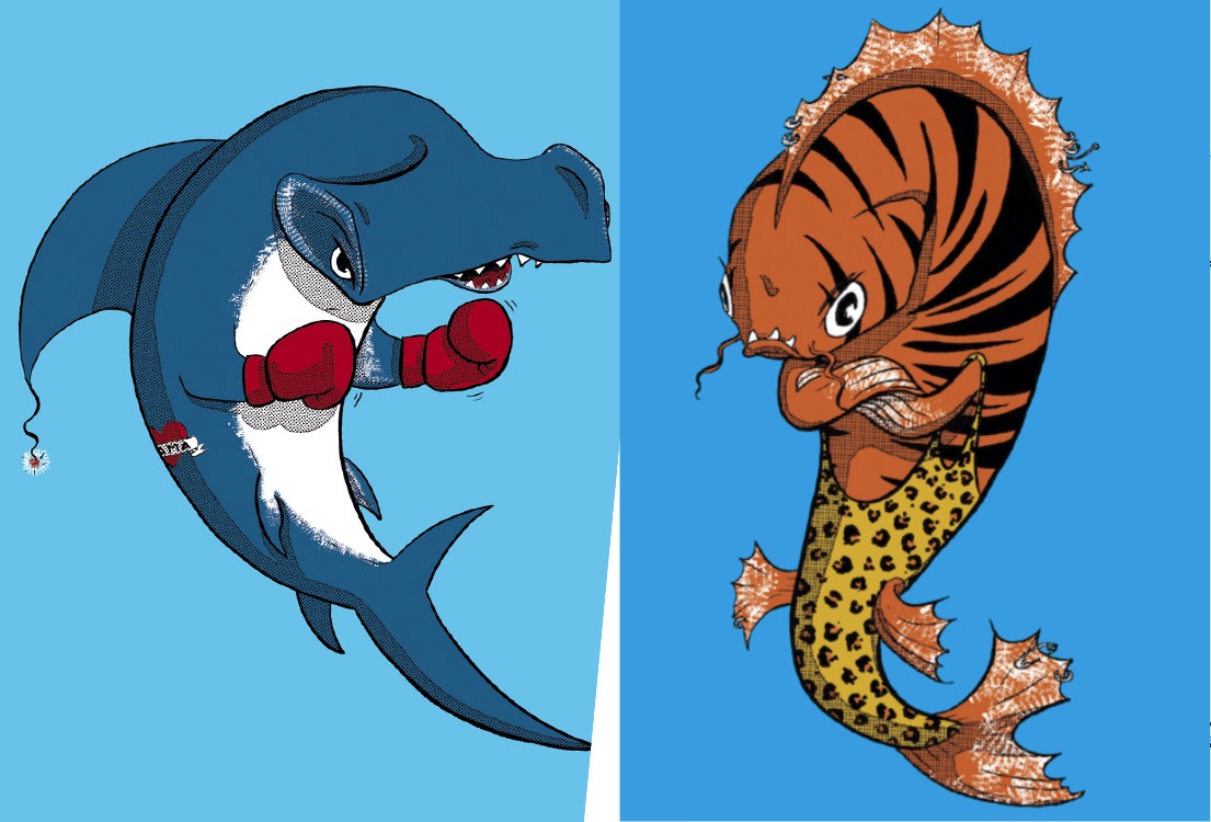 Shirt Motive, Hai mit Boxerhandschuhen und ein Tigerfisch mit verschränkten Armen